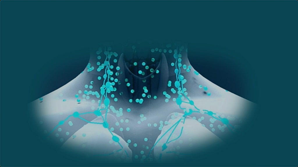 የበሽታዎች ከእንስሳት ወደ ሰው መሠራጨት