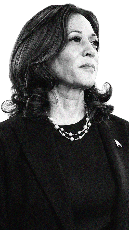 Kamala Harris, Democrata