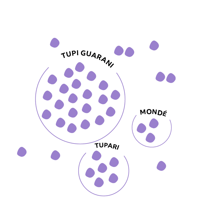 Diagrama mostrando línguas sendo agrupadas em famílias