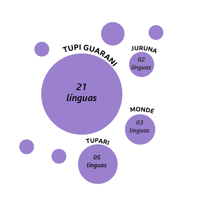 Diagrama mostrando algumas das principais famílias linguísticas brasileiras e sua quantidade de línguas