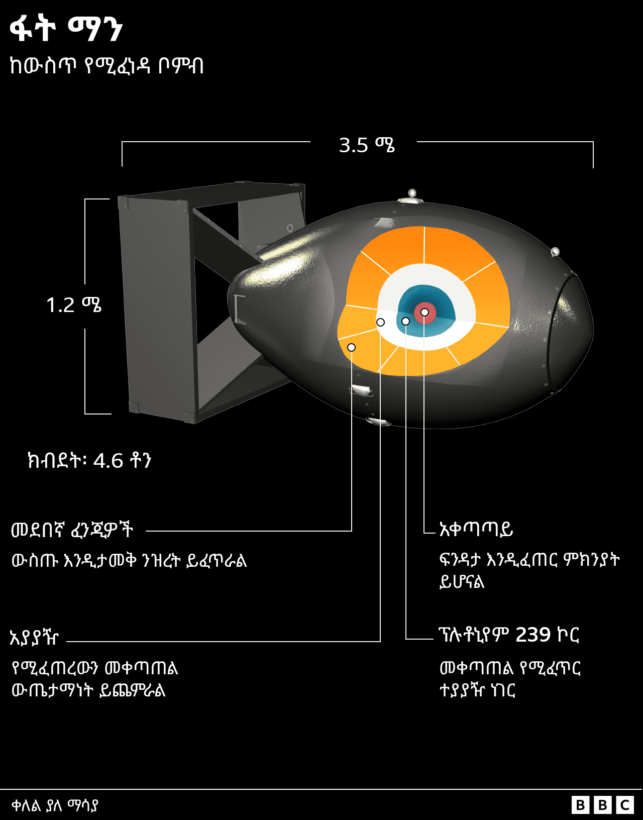 የፋት ማን ቦምብን የተለያዩ ክፍሎች የሚያሳይ ሥዕል