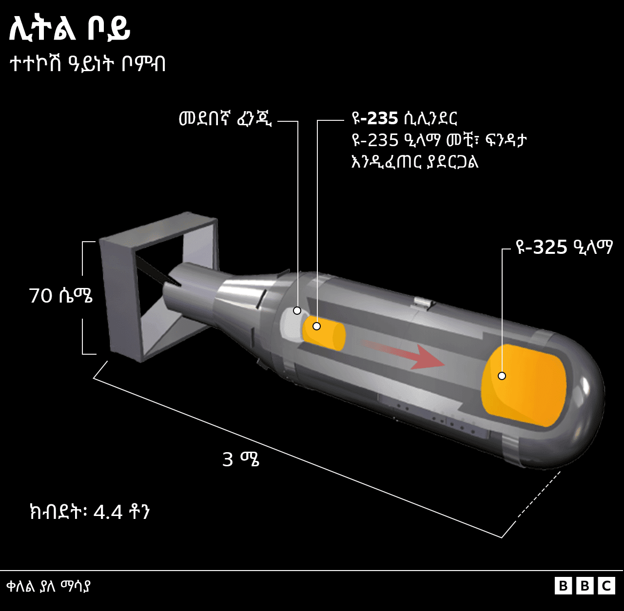 የሊትል ቦይ ቦምብ የተለያዩ ክፍሎችን የሚያሳይ ሥዕል