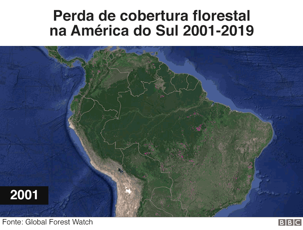 Gif animado da perda de cobertura florestal na América do Sul