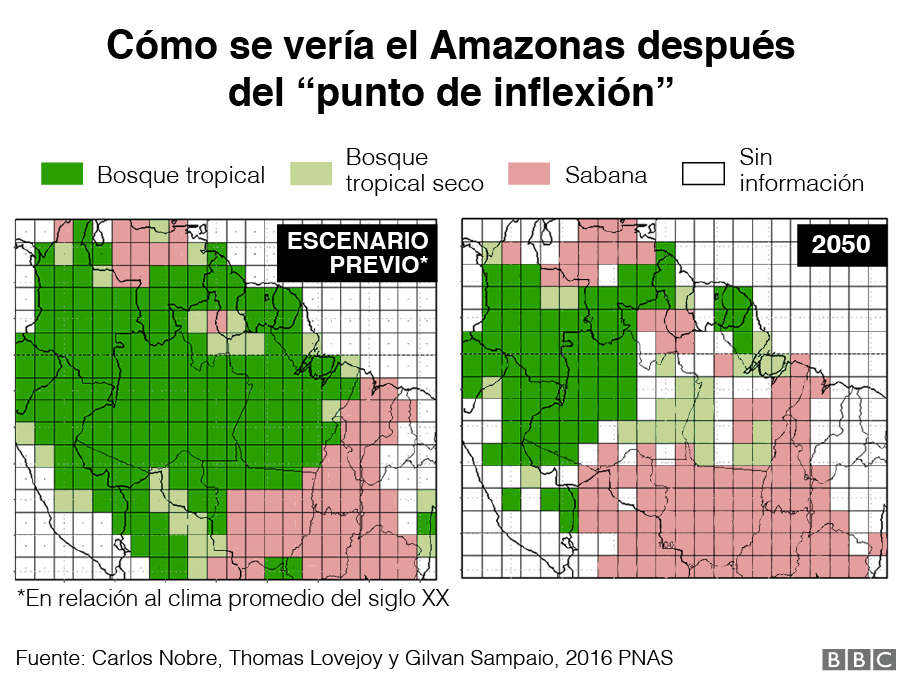 Imágenes de cómo se vería la vegetación del Amazonas después del tipping point
