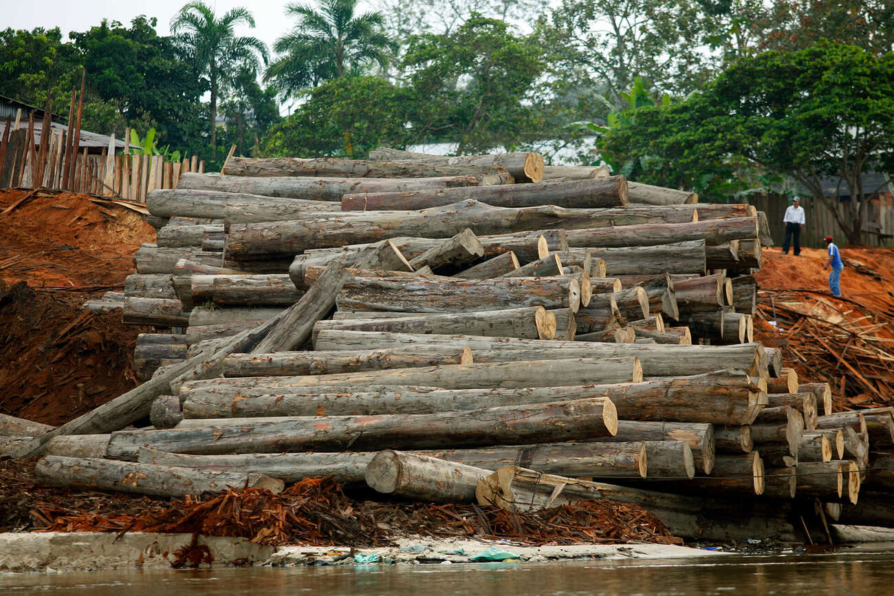 Corte de madeira na Amazônia peruana