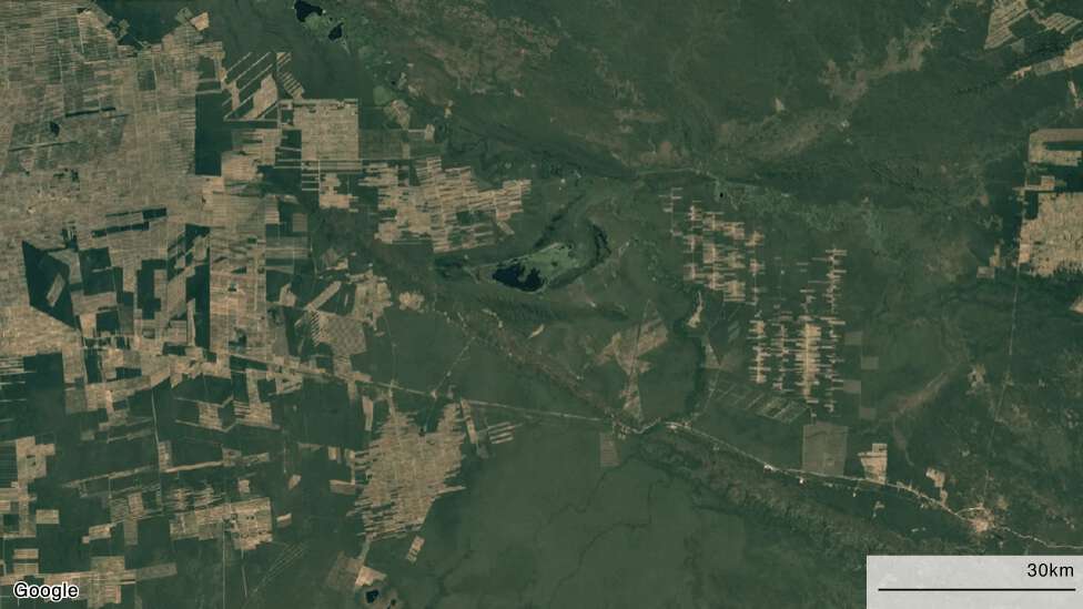 "La gran mentira verde": cómo la pérdida del Amazonas va mucho más allá de la deforestación