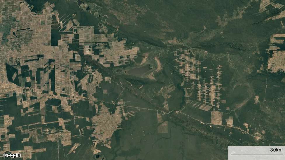 "La gran mentira verde": cómo la pérdida del Amazonas va mucho más allá de la deforestación