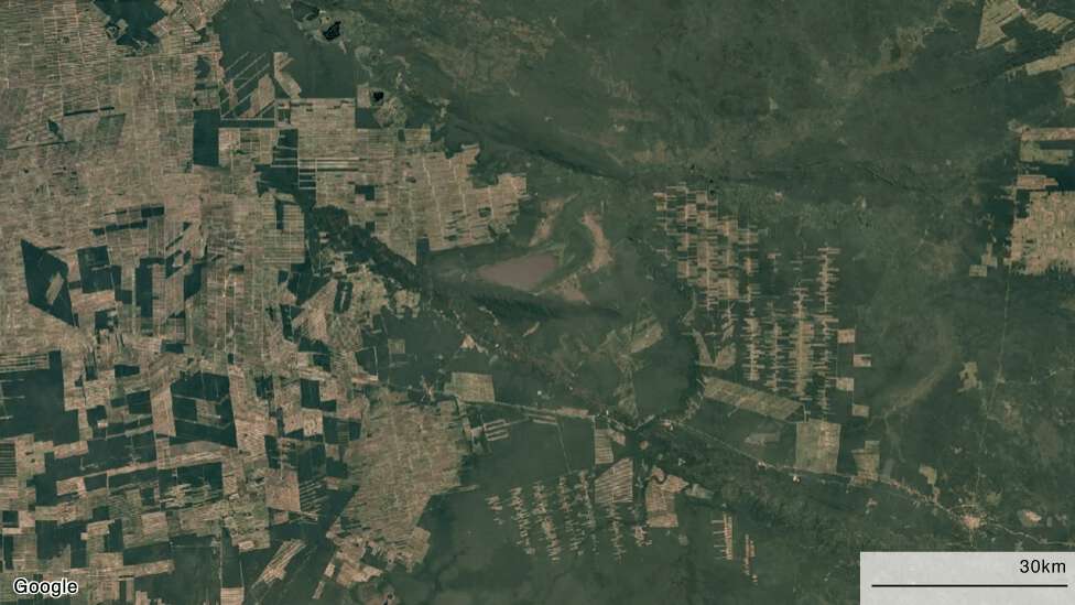 "La gran mentira verde": cómo la pérdida del Amazonas va mucho más allá de la deforestación