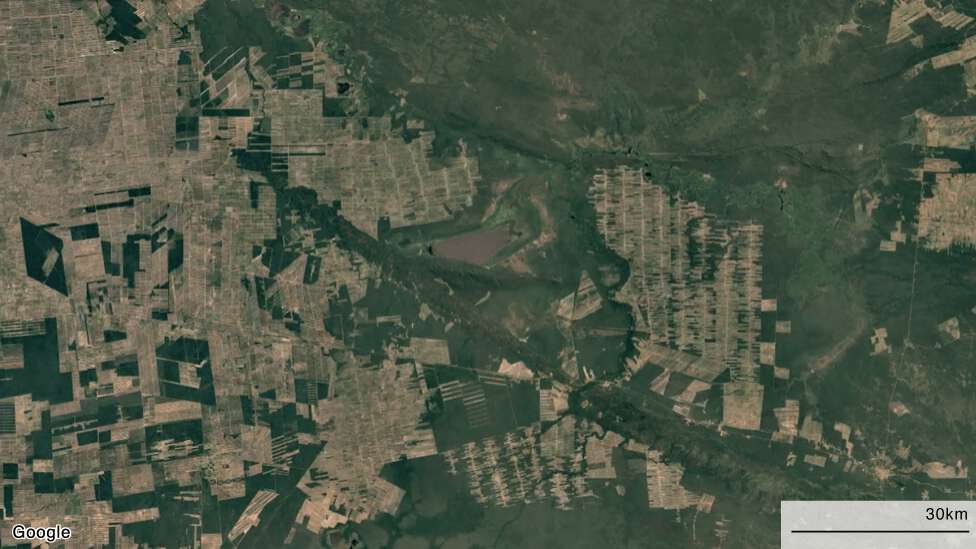 "La gran mentira verde": cómo la pérdida del Amazonas va mucho más allá de la deforestación