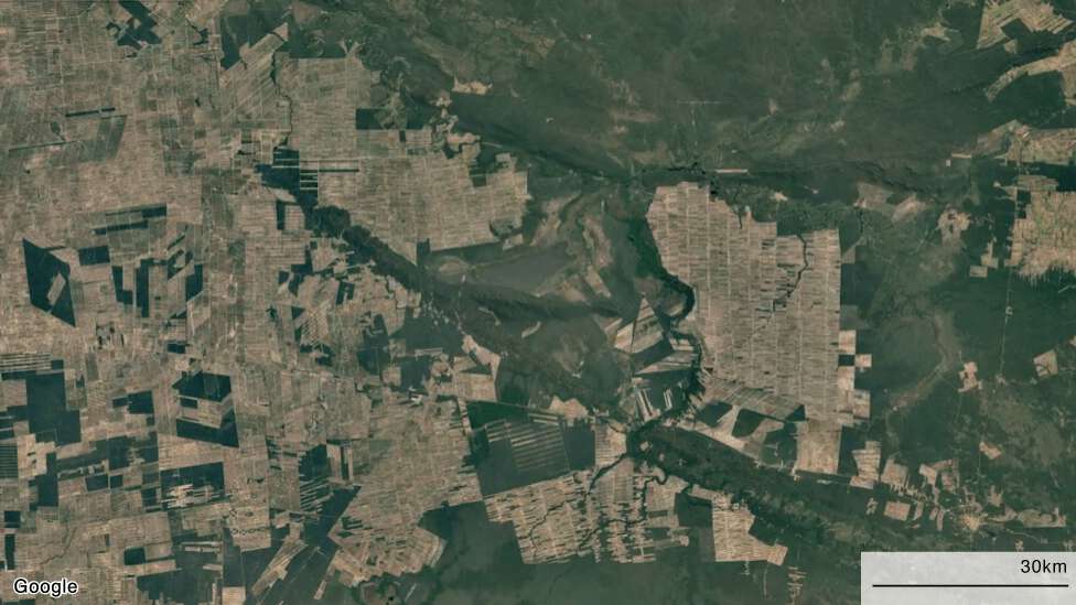 "La gran mentira verde": cómo la pérdida del Amazonas va mucho más allá de la deforestación