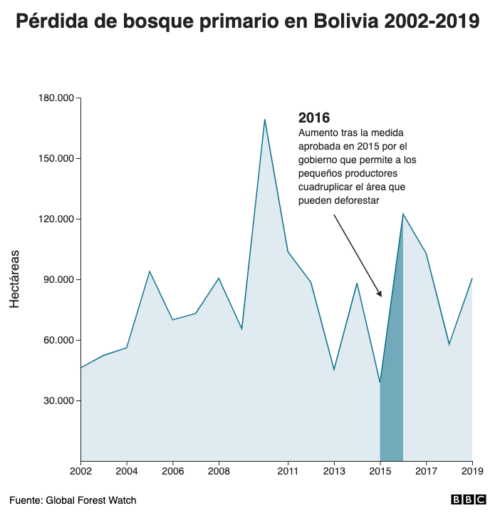 Pérdida de bosque primario en Bolivia 2002-2019