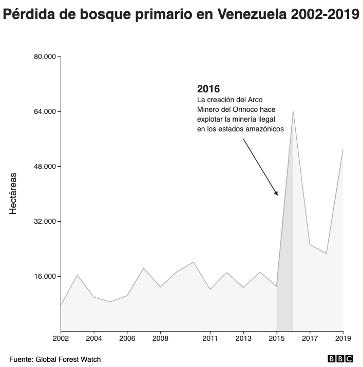 Destruccion Del Amazonas Las Principales Amenazas Para La Mayor Selva Tropical Del Mundo En Los 9 Paises Que La Comparten Bbc News Mundo