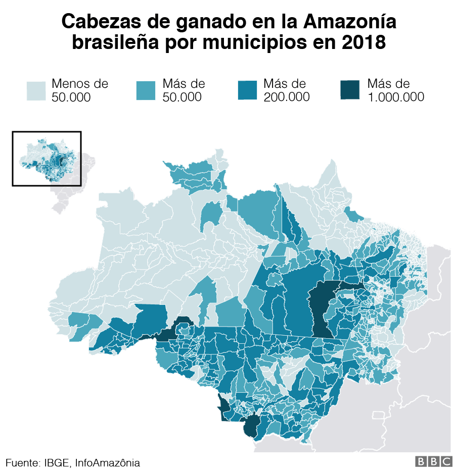 Gráfico de las cabezas de ganado en el Amazonas brasileño