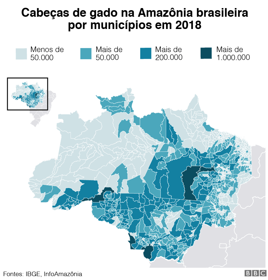 Gráfico de cabeças de gado na região amazônica brasileira