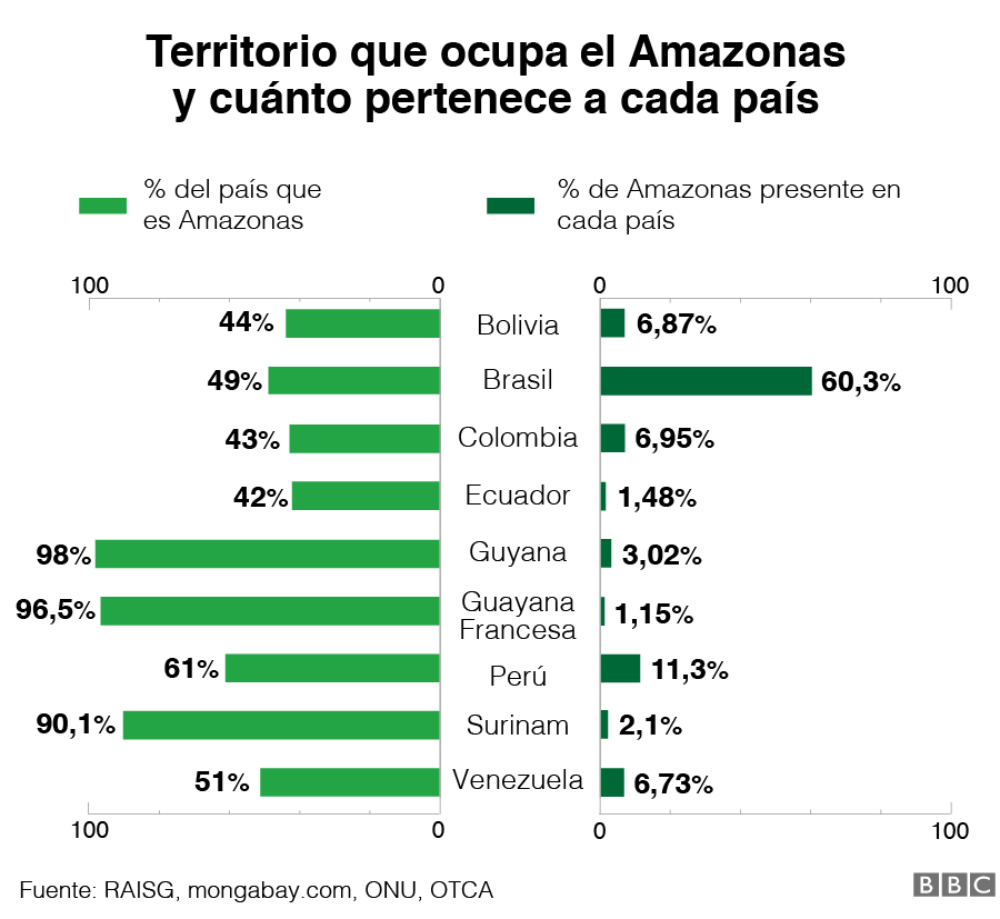 Gráfico del territorio que ocupa el Amazonas y cuánto pertenece a cada país