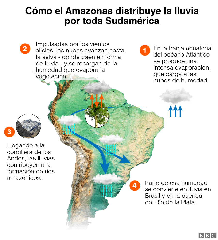 Gráfico sobre como el Amazonas distribuye la lluvia en Sudamérica