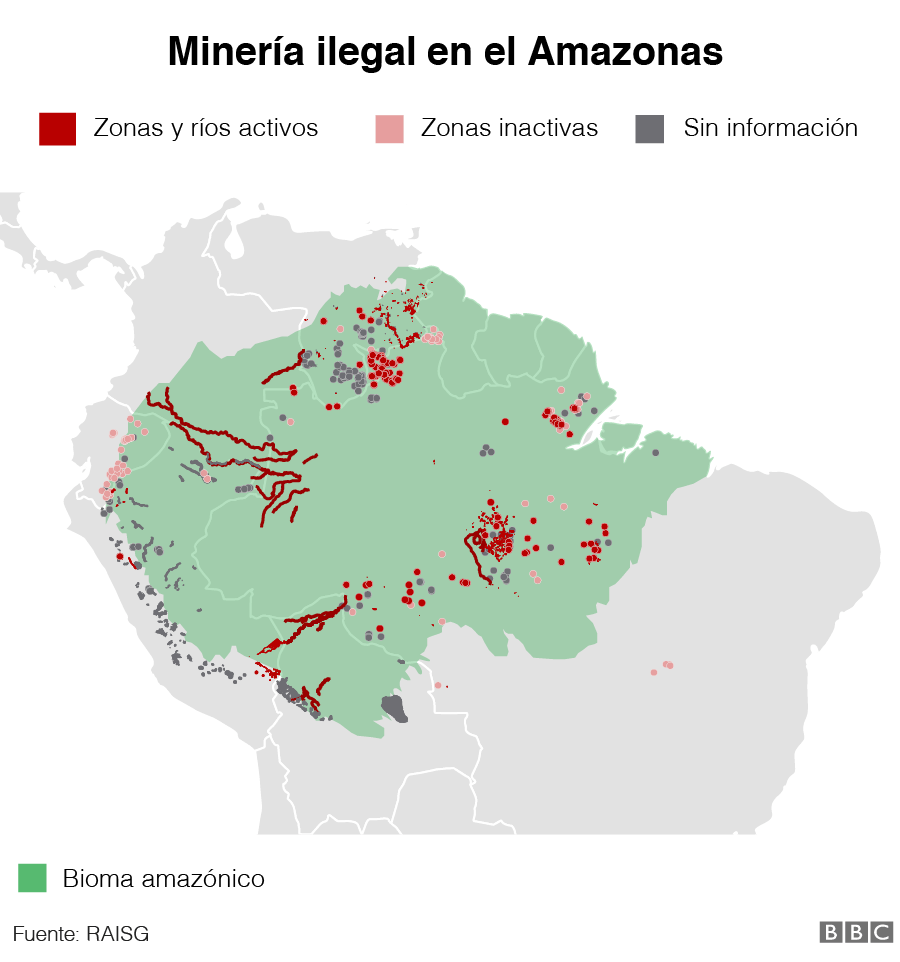 Gráfico de la minería ilegal en el Amazonas
