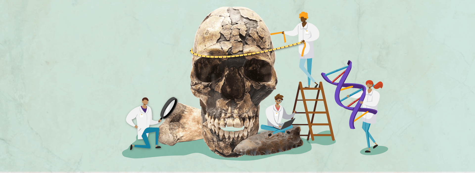 Montaje de un cráneo de Homo sapiens con ilustraciones de científicos alrededor.