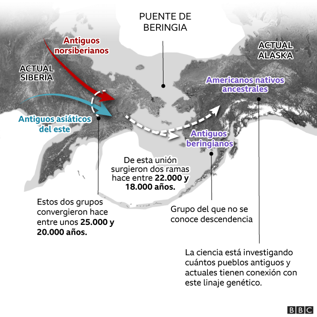 Infografía que muestra el mestizaje producido en Beringia 