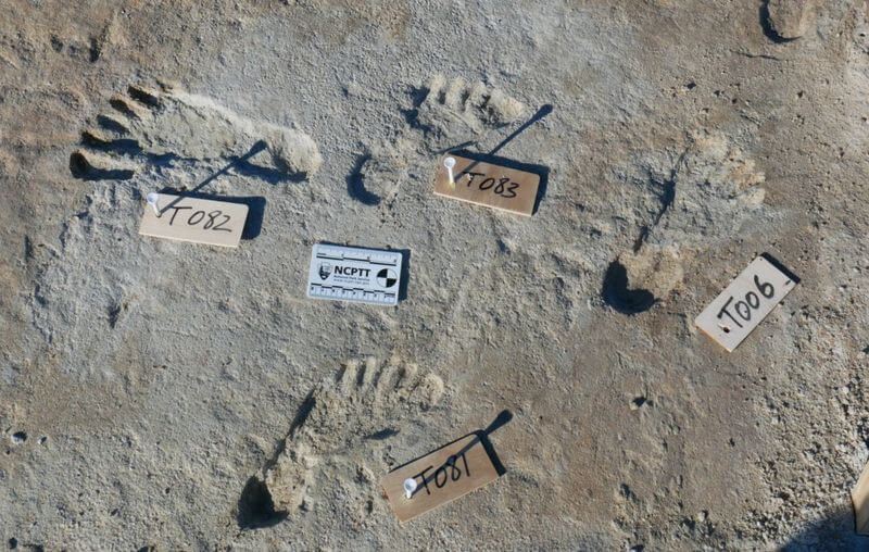 Estas pegadas pertencem a crianças e adolescentes que viveram há pelo menos 21 mil anos.