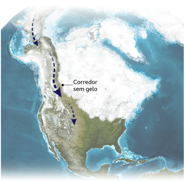 A Fascinante Jornada Dos Primeiros Humanos à América E Como A Genética Está Ajudando A 3699