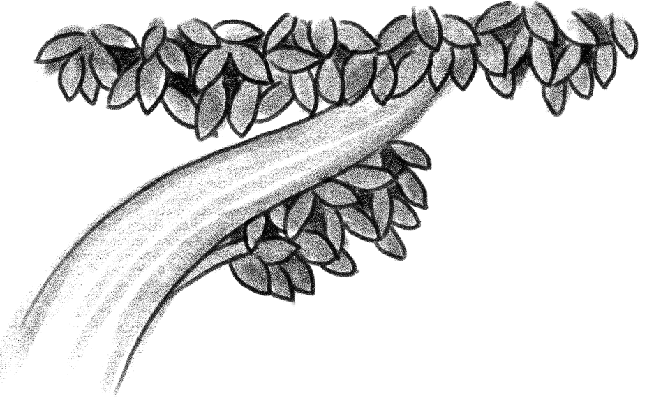 मुकेश के 100 साल : ...पर हम तुम्हारे रहेंगे सदा 