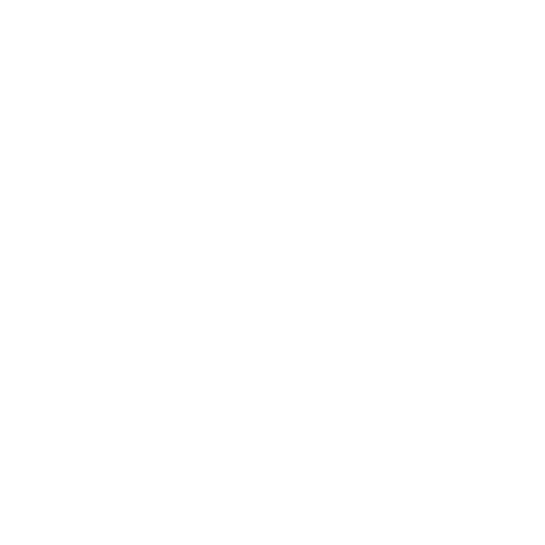 พรรคภูมิใจไทย