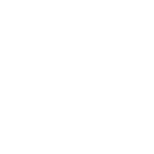 พรรคไทยสร้างไทย