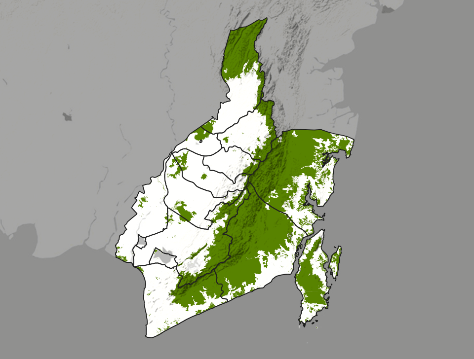 Kawasan tutupan hutan di Kalimantan Selatan pada tahun 2016.