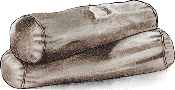 "हम बेखुदी मे तुमको पुकारे चले गए" बोलको गीतको छायाङ्कन