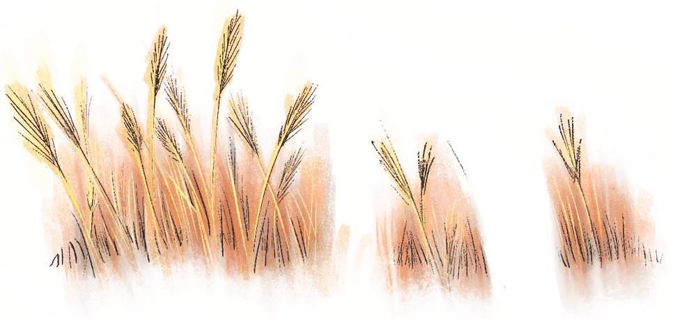 कालो शर्टमा देव आनन्द