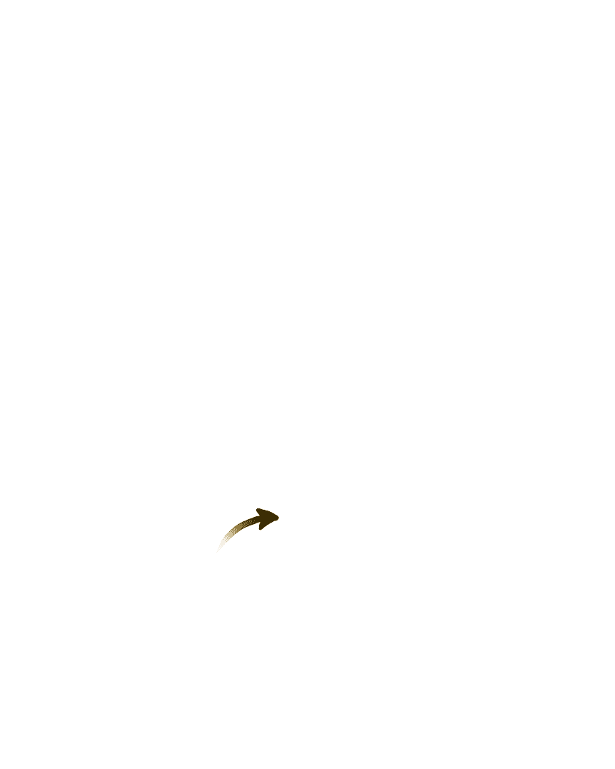 માનવ શરીર