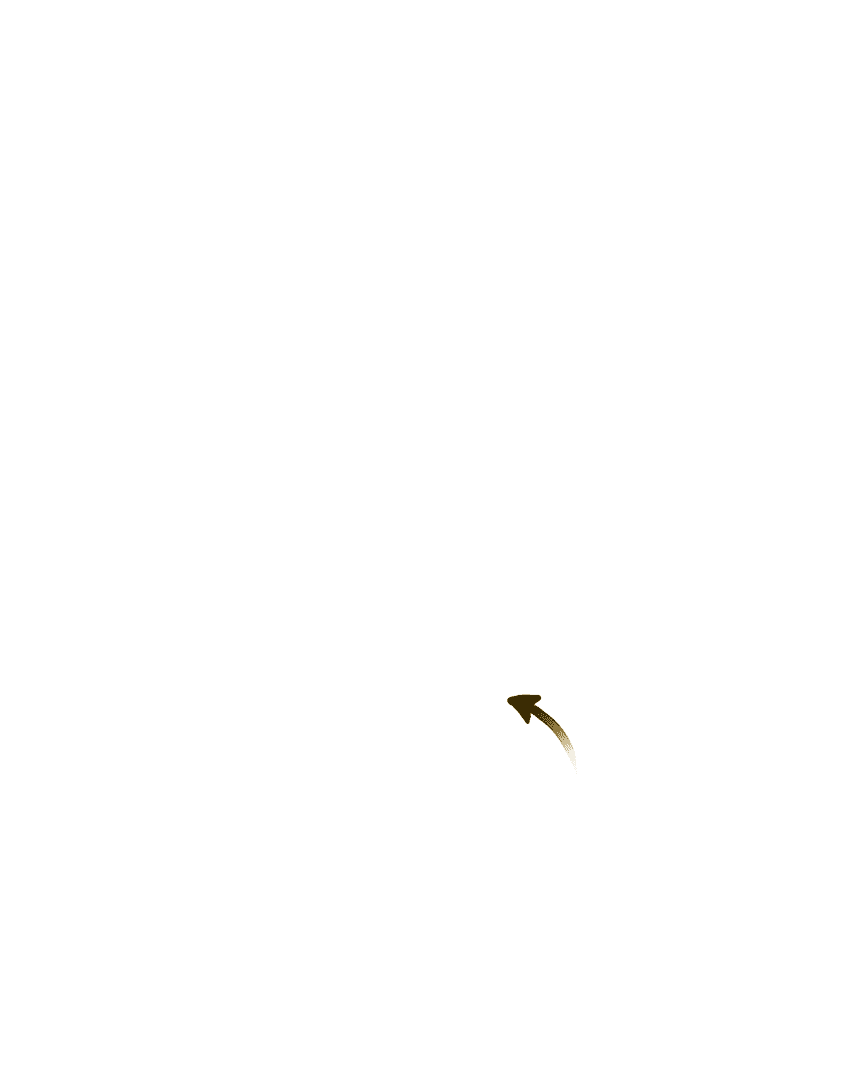 માનવ શરીર