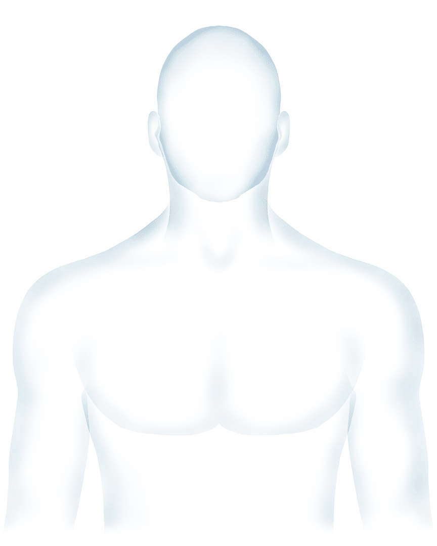 માનવ શરીર