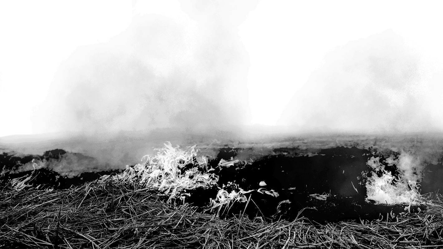 પરાળ બાળવાની પ્રવૃત્તિ