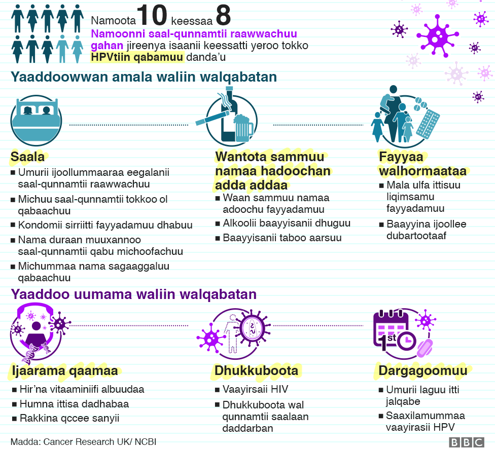 There is an Infographic showing the risk factors that are related to HPV such as sex, substance abuse, reproductive health, body composition, infections and puberty