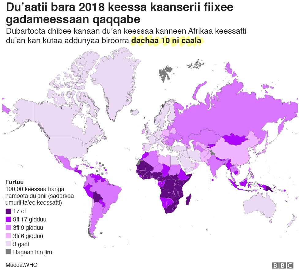 There is a map showing incidence and mortality rates in women around the world. It is noted that death rates of women in Africa are higher than anywhere else