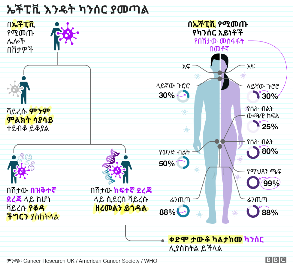 ኢትዮጵያ በአፍሪካ ለማህጸን ለካንሰር መከላከያ ክትባት ከሚሰጡ ጥቂት አገራት አንዷ ናት - BBC News አማርኛ