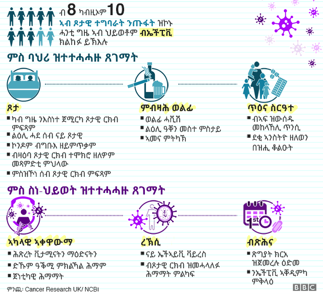 There is an Infographic showing the risk factors that are related to HPV such as sex, substance abuse, reproductive health, body composition, infections and puberty