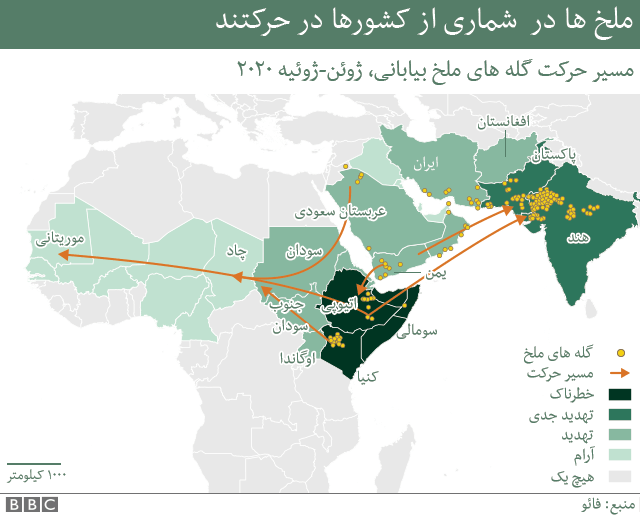 نقشه مناطقی از آفریقای شرقی، خاورمیانه، هند و پاکستان را نشان می دهد که گله های ملخ در آن وجود دارند.