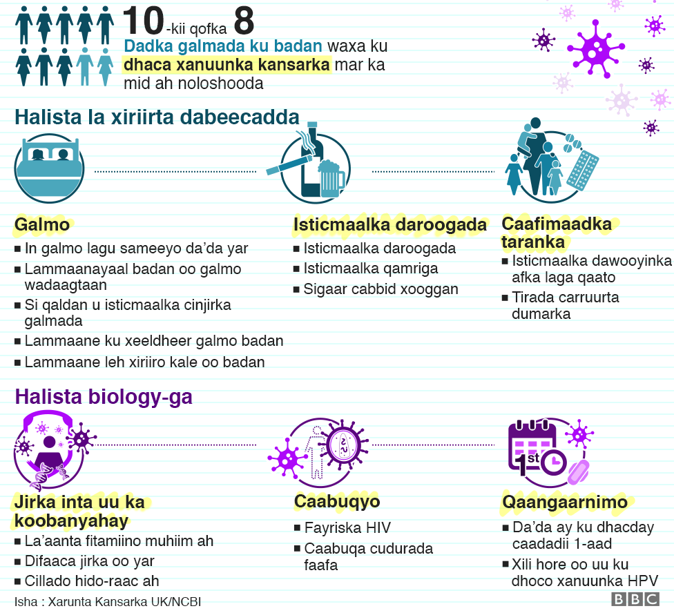 There is an Infographic showing the risk factors that are related to HPV such as sex, substance abuse, reproductive health, body composition, infections and puberty