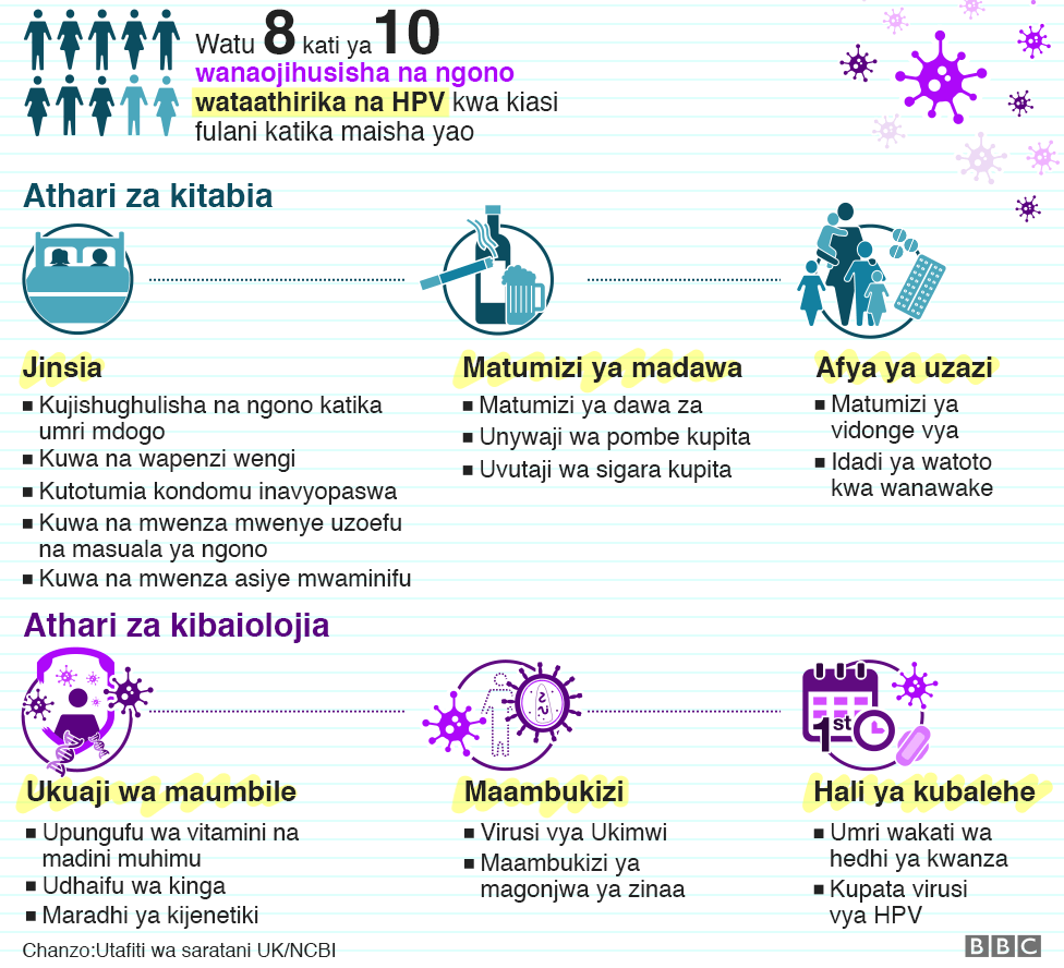 There is an Infographic showing the risk factors that are related to HPV such as sex, substance abuse, reproductive health, body composition, infections and puberty