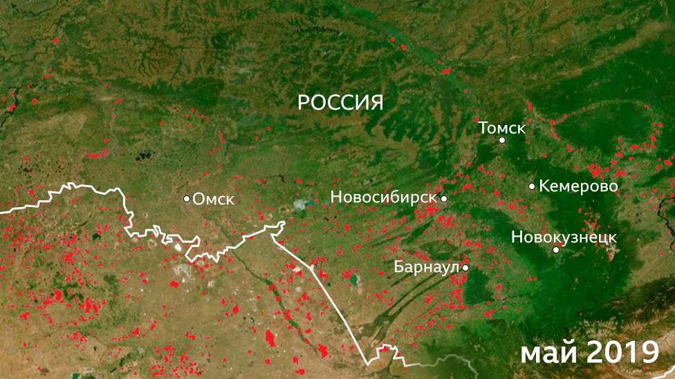 Пострадавшие от огня территории в Сибири в мае 2019 года