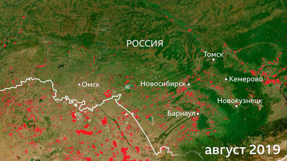 Пострадавшие от огня территории в Сибири в августе 2019 года
