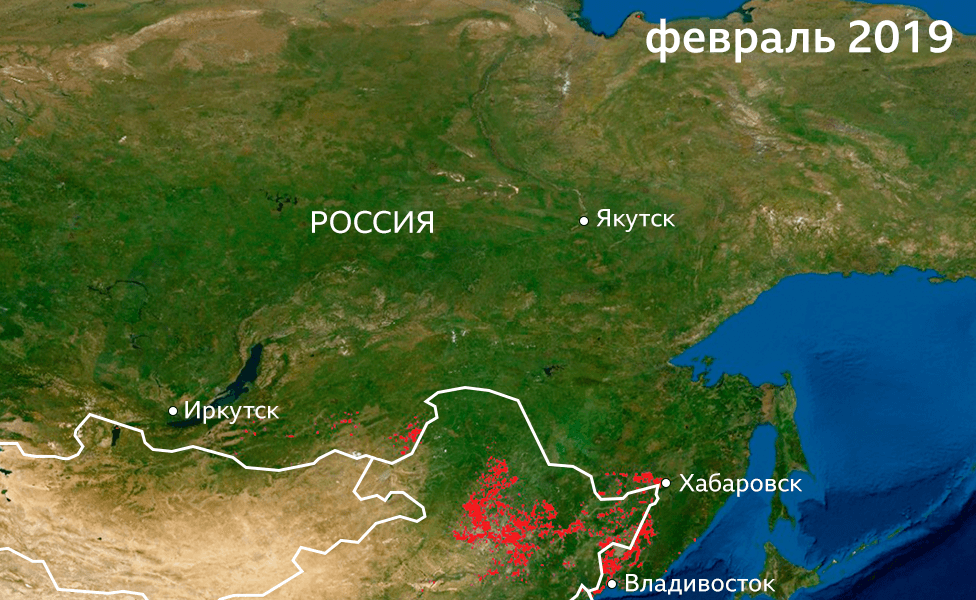Пострадавшие от огня территории в восточной части России в феврале 2019 года