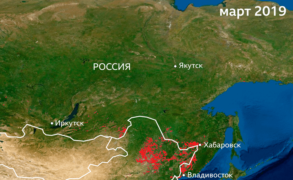 Пострадавшие от огня территории в восточной части России в марте 2019 года