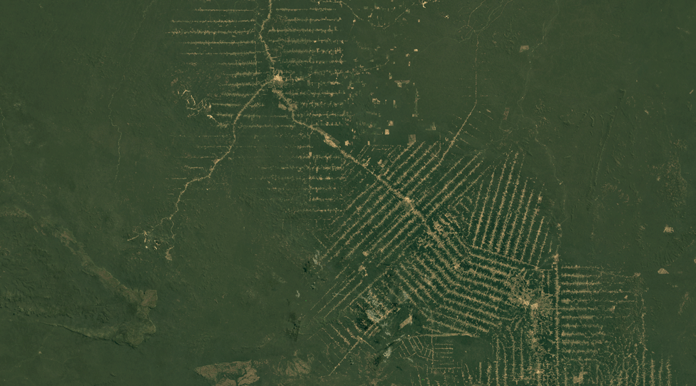 Imagen satelital de Rondonia, Brasil, en 1984