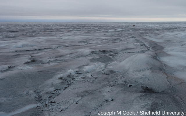 An ice sheet showing the effect of rainfall