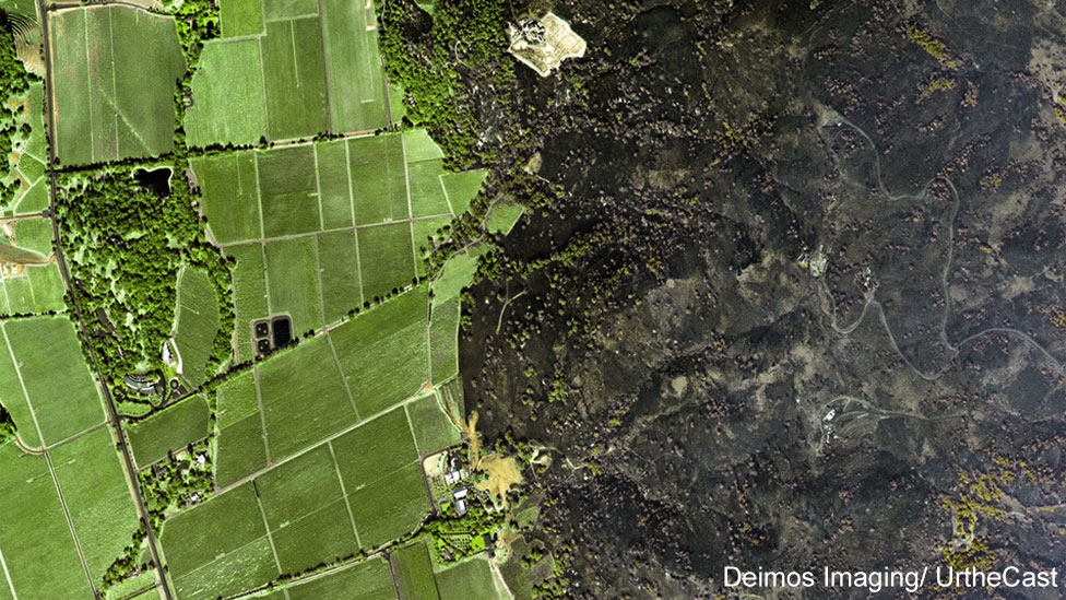 Долина Напа после пожаров — спутниковый снимок Google