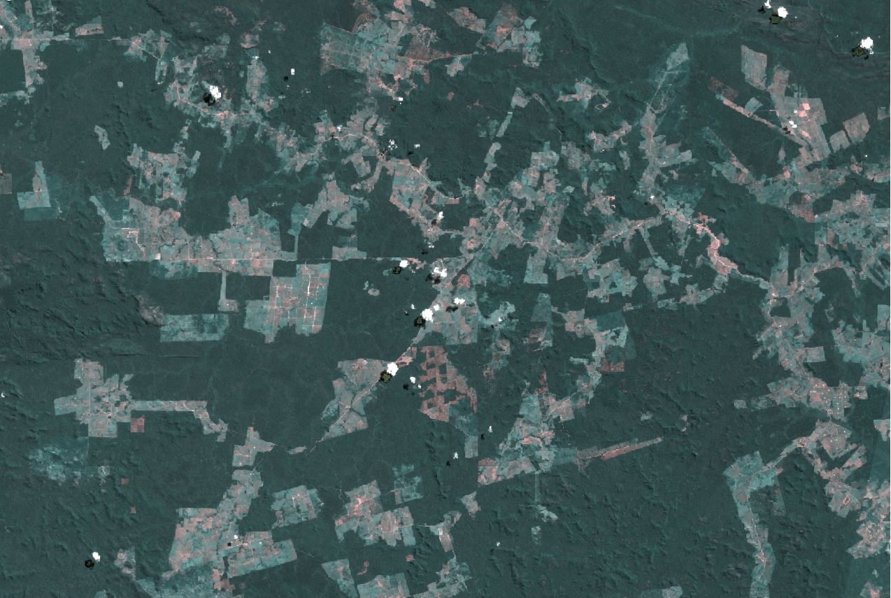 APA Triunfo do Xingu em junho de 2019